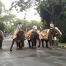 Gajah hingga Ular Piton di Bali Safari Ikut Upacara Bendera HUT RI