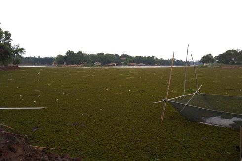 Menikmati Sore di Setu Sawangan, Depok yang 