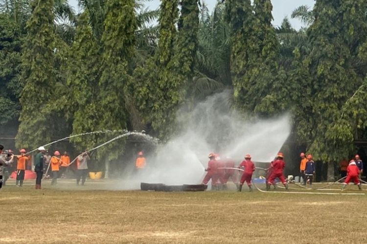 Pemkab Siak Gandeng Pengusaha Sawit untuk Atasi Karhutla