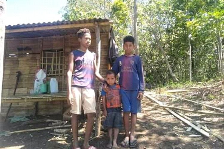 Foto : Kris (9), Yoan (7), dan Erto (4), tiga bersaudara di Bajawa, Kabupaten Ngada, NTT hidup di pondok kecil di kebun tanpa orangtua. 