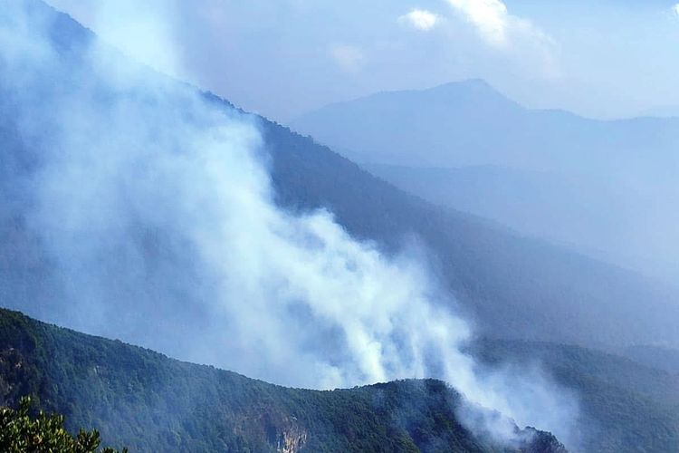Sempat Padam, Api Kembali Berkobar di Taman Nasional Gunung Gede Pangrango