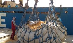 Indonesia Bakal Ekspor Jagung 500.000 Ton