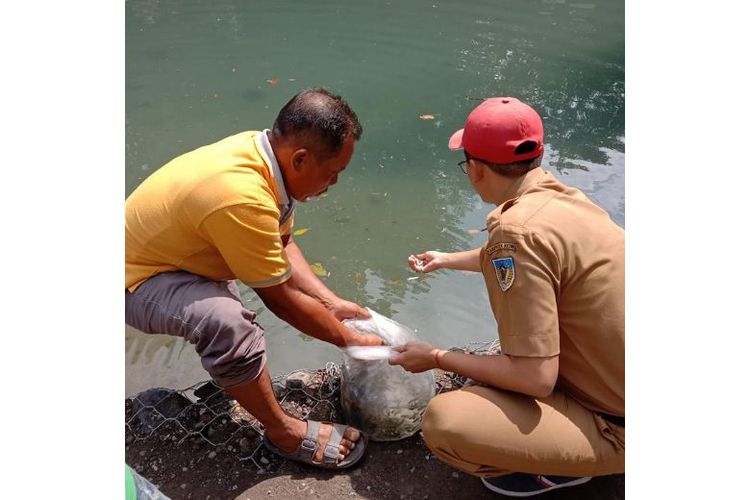 Pemkab Kediri melalui Dinas Perikanan Kabupaten Kediri menyelenggarakan program restocking ikan untuk menjaga sumber daya perikanan di perairan umum.