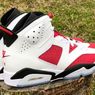 Air Jordan 6 
