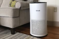 Apakah Air Purifier Bisa Membersihkan Udara dalam Rumah?