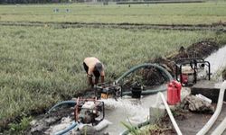Di Tengah Krisis Pangan Global, Mentan SYL Sebut KUR Jadi Solusi Permodalan Petani 