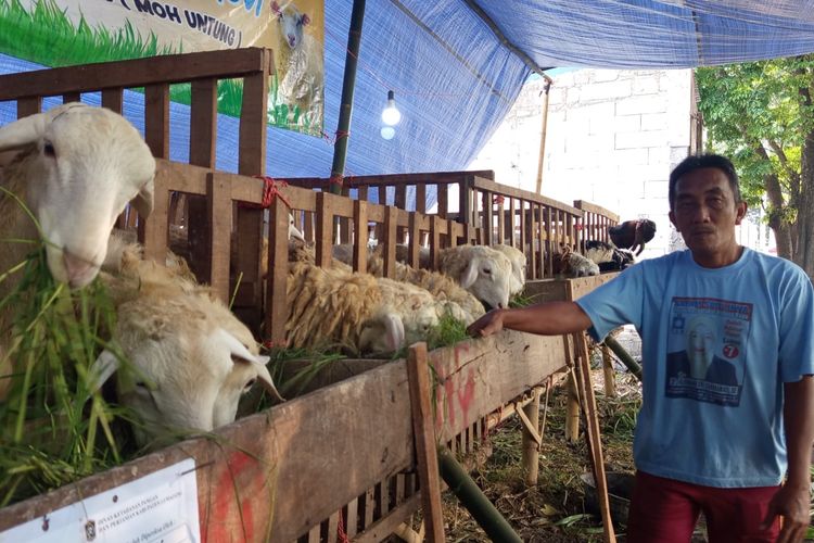 Keluh Pedagang Kambing di Lumajang: 5 Hari Jualan Tak Ada yang Laku