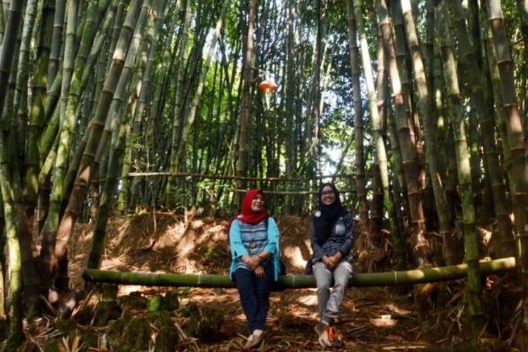 Kampung Bambu Klatakan, Dusun Bojong, Desa Wringinputih, Kecamatan Borobudur, Kabupaten Magelang, Jawa Tengah, diresmikan sebagai obyek wisata pendukung Candi Borobudur, Minggu (4/9/2016).