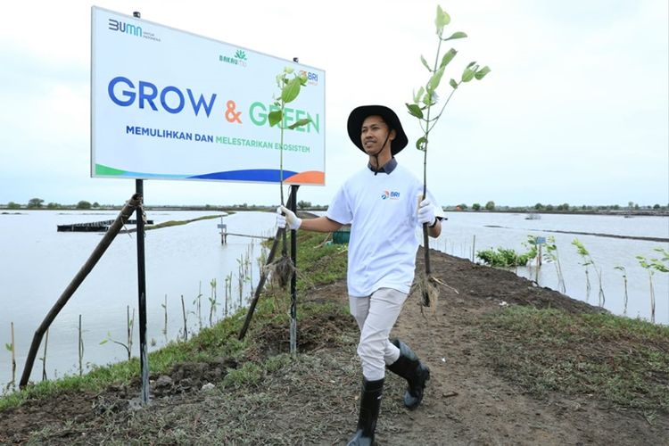 PT Bank Rakyat Indonesia (Persero) Tbk (BRI) terus berkomitmen menerapkan pembiayaan berkelanjutan melalui implementasi ESG sebagai dukungan terhadap program ekonomi hijau pemerintah.