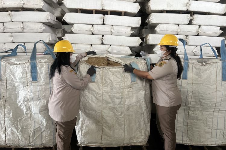 Ekspor Bonggol Jagung di Sumut Laku Keras di Jepang, Nilai Tembus Rp 1 Miliar