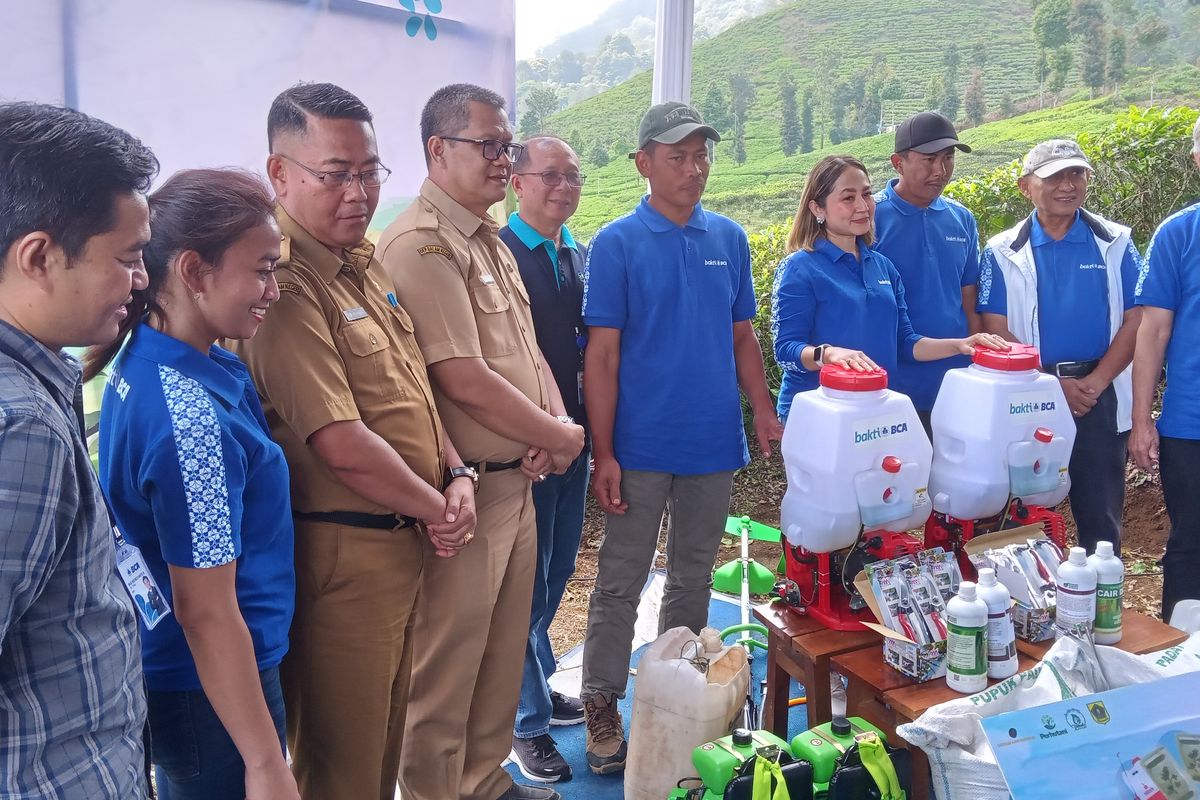 BCA Bantu Revitalisasi Kebun Kopi Cikoneng Bogor, Targetkan Kenaikan Produksi 120%