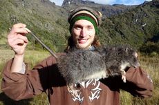 Tikus Wol Berbulu Tebal dari Pegunungan Nugini Akhirnya Terpotret