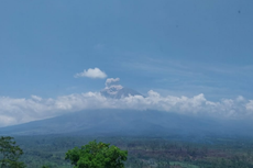 Terjadi Erupsi, Gunung Semeru Luncurkan APG Sejauh 1 Km