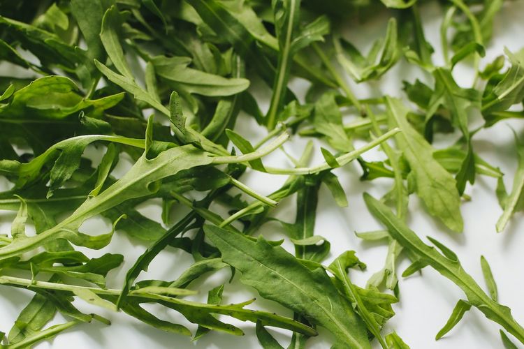 Ilustrasi sayuran arugula. 