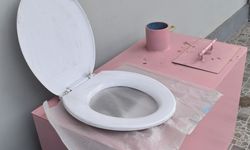 Mengenal Toilet Pengompos, Jamban Ramah Lingkungan Hemat Air