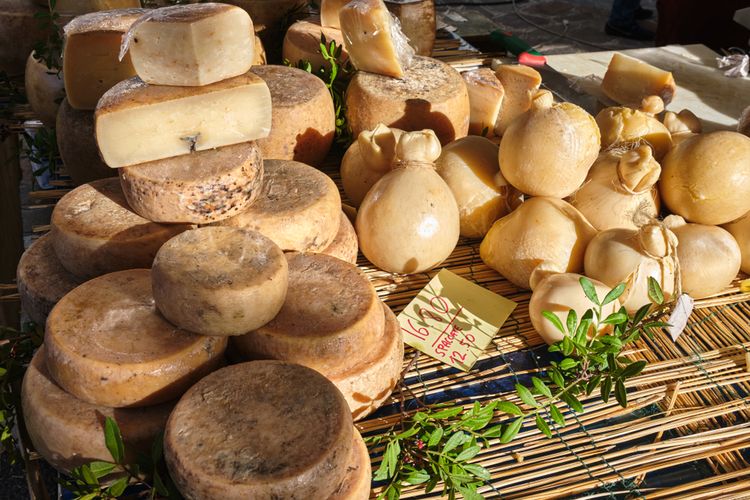 Ilustrasi casu marzu, keju belatung dari Sardinia Italia. 