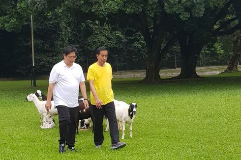 Jokowi-Airlangga Joging Bareng, Bahas Cawapres 