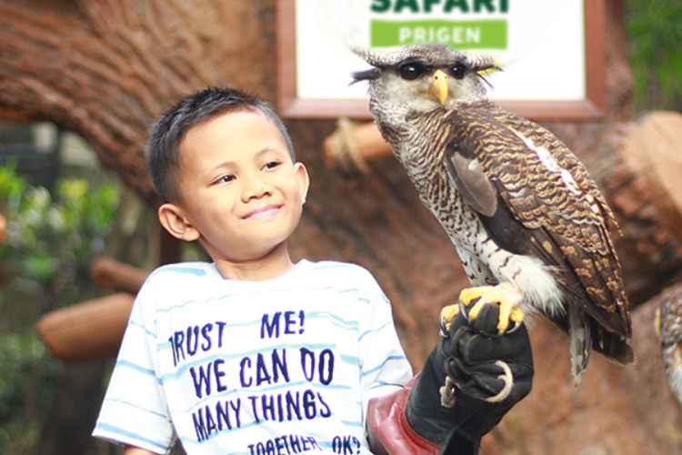 Salah satu kegiatan wisata di Taman Safari Prigen, Pasuruan, Jawa Timur.