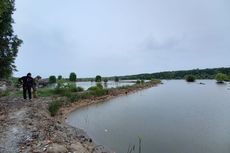 Hutan Mangrove Delta Mahakam di Kaltim Rusak karena Tambak