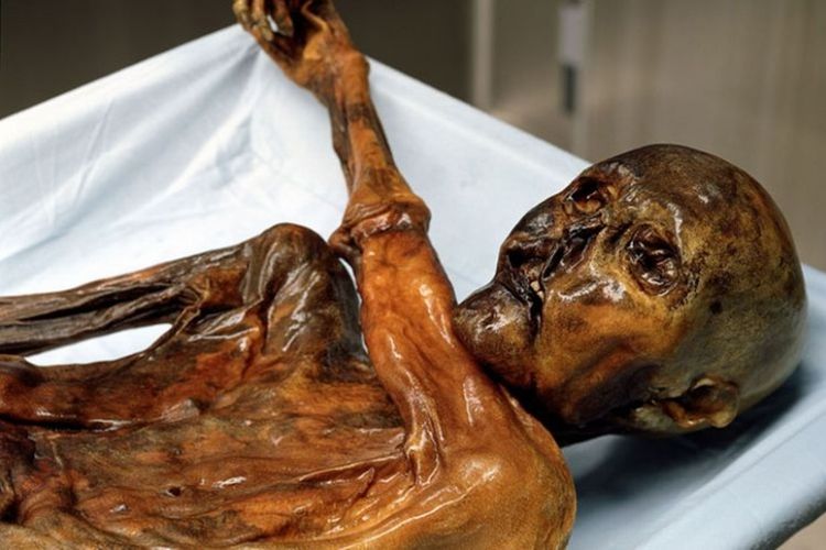 Mumi manusia es yang memiliki cerita kutukan. [Via India Times]