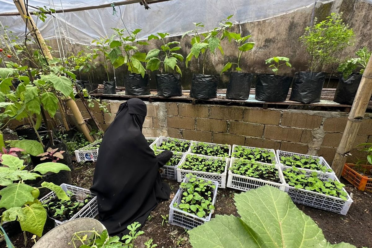 Kebun Bibit Organik Ala-ala: Tumbuh dari Niat Sedekah, Hasilkan Jutaan  Rupiah