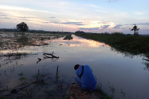 Setelah Ada Tambang, Tiap Tahun Petani di Kukar Merugi karena Sawah Terendam Banjir