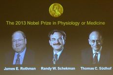 Nobel Kedokteran 2013 untuk Tiga Peneliti Transportasi Sel