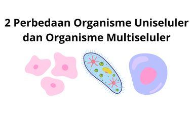 Menurut jenisnya, organisme terdiri dari uniseluler dan multiseluler.