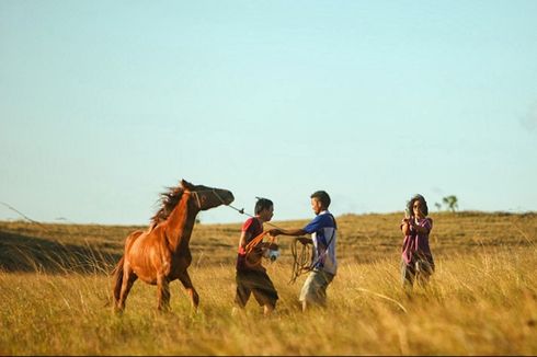 Mengenal Ikon dari Sumba Lewat Festival Kuda Sandalwood