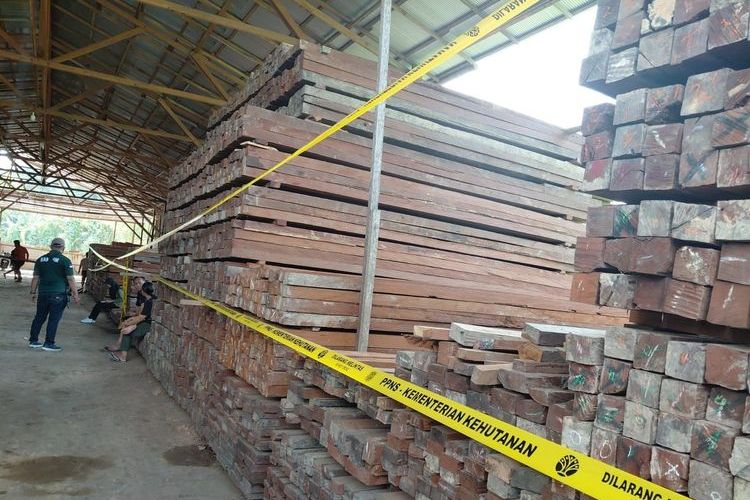 Pakai Dokumen Palsu! Cukong dan 140 Kubik Kayu Ulin Ilegal Akhirnya Diseret ke Kejaksaan