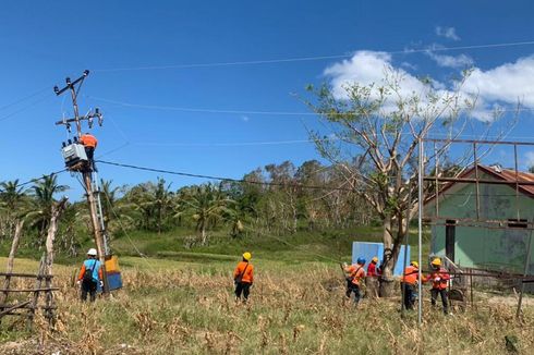 Perjuangan PLN Pulihkan Listrik di Daerah Terdampak Badai Seroja, Kerja Berhari-hari Hanya untuk Buka Jalan