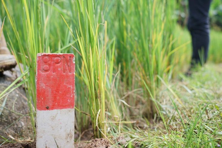 Pasang Patok Batas Tanah Harus Diketahui Tetangga