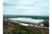 Bukan Sekadar Kendaraan, VinFast Dorong Ekosistem Mobilitas Listrik