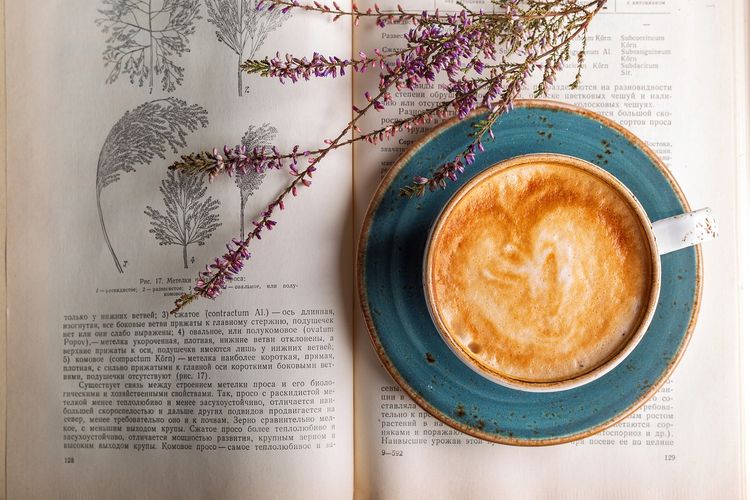 ilustrasi kafe buku atau book cafe