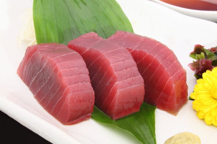 Ilustrasi ikan tuna. Ikan tuna adalah salah satu ikan bermerkuri tinggi yang sebaiknya dihindari jika ingin segera hamil.