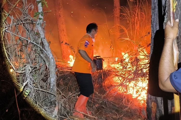 Terkendala Medan Sulit dan Sumber Air, Petugas Berjibaku Tangani Karhutla di Mamasa 8 Jam