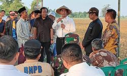 Tiba di Lokasi Terdampak Banjir di Kendal, Mentan Amran Berdialog dengan Para Petani