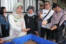 Kementerian KP Kembangkan Low Carbon Feed Ramah Lingkungan melalui Pemanfaatan Sampah Organik dan Maggot