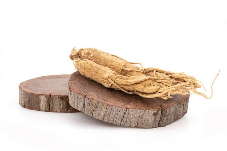 Ilustrasi ginseng