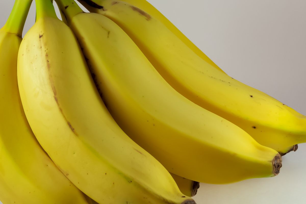 Ilustrasi buah pisang cavendish.