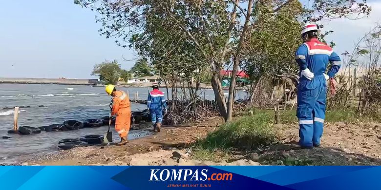 Ceceran Kristal Hitam Mirip Minyak Mentah Cemari Pantai Balongan Indramayu