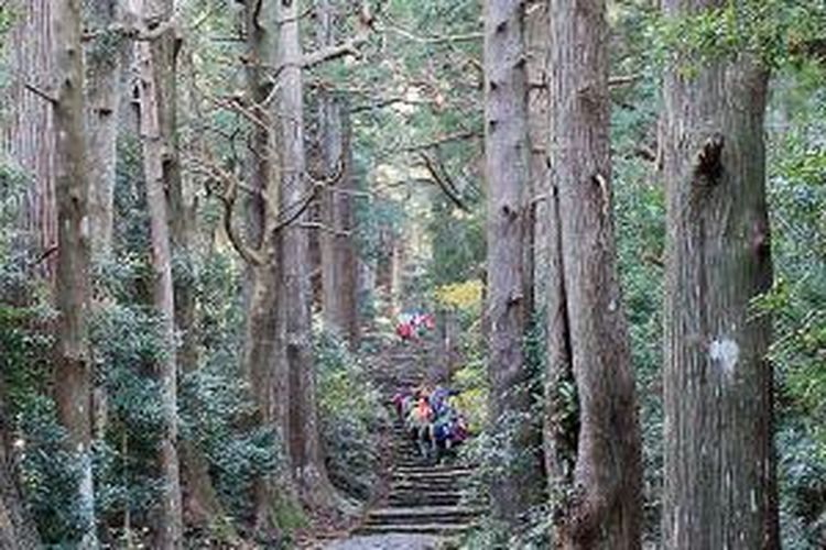 Hutan lebat tempat orang berziarah di Kumano Kodo, Perfektur Wakayama, Jepang.