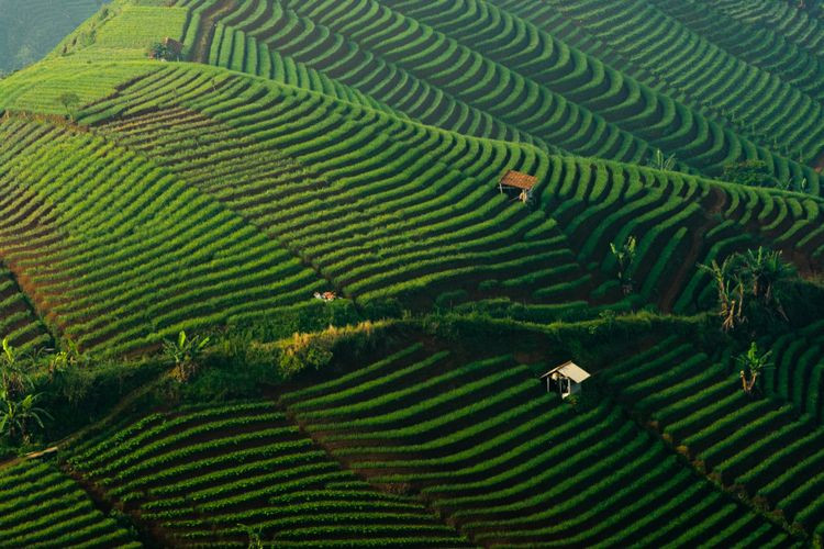 Sawah Terasering Instagramable di Argapura, Majalengka