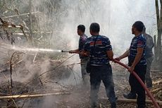 Hutan Bambu Seluas 2.000 Meter Persegi di Desa Wisata Penglipuran Bali Terbakar