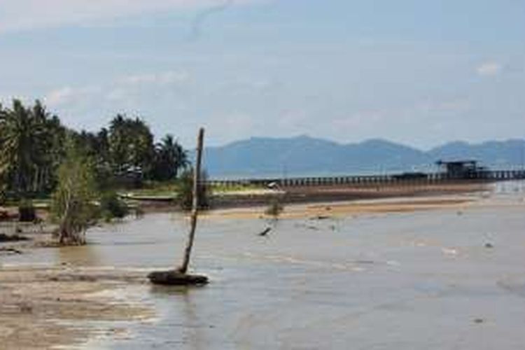 Selama 5 tahun terakhir, aktifis lingkungan di Sebatik mensinyalir  abrasi telah menggerus pantai diwilayah prbatasan sepanjang 10 meter. Laju abrasi semakin cepat karena hiangnya hutan mangrove dsepanjang pantai Sebatik.