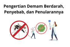 Pengertian Demam Berdarah, Penyebab, dan Penularannya