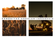 Komoditas Andalan Indonesia dari Hasil Pertanian, Pertambangan, dan Perkebunan