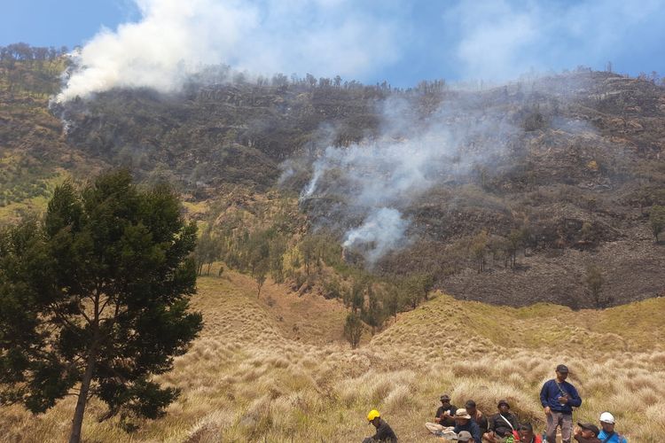 BERITA FOTO, Kebakaran Hutan Bromo Meluas hingga 120 Hektare