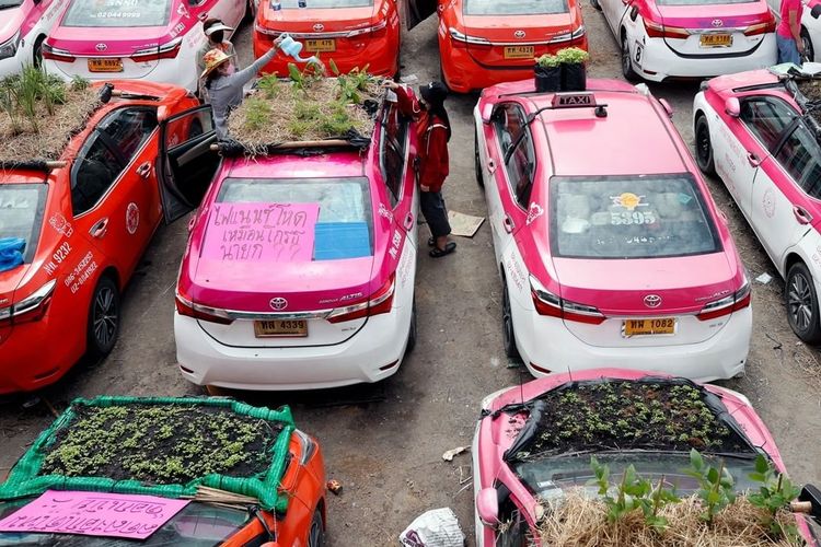 Atap taksi untuk menanam sayuran setelah pengemudi taksi kehilangan pekerjaan karena pembatasan ketat Covid-19 membuat jalan-jalan kota sepi.
