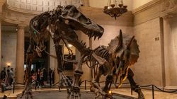 'Jurassic Park' Jadi Nyata, Peneliti Swedia Garap Proyeknya